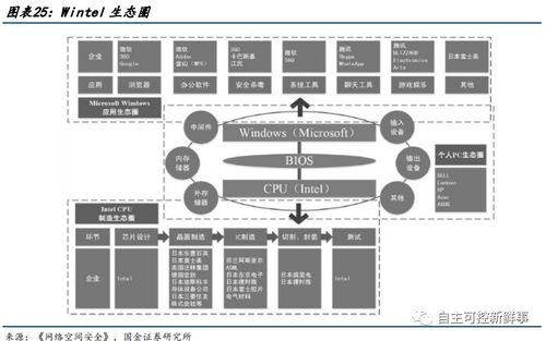 2022年六大國(guó)產(chǎn)CPU發(fā)展現(xiàn)狀 軟件生態(tài)與應(yīng)用服務(wù)的挑戰(zhàn)與機(jī)遇